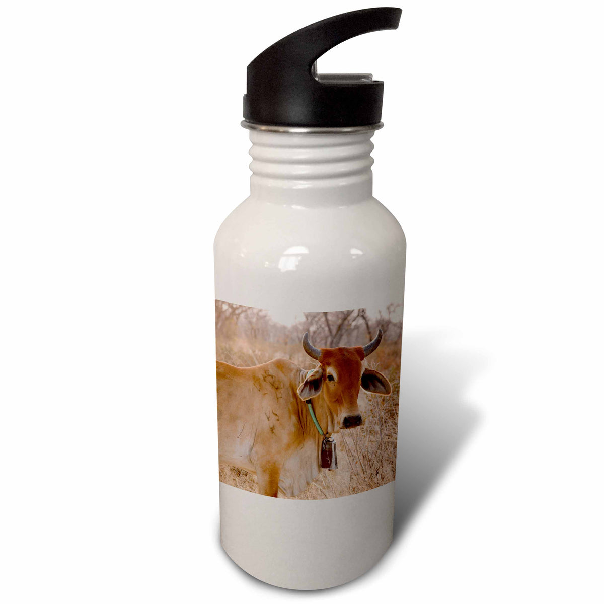 21 oz Sports Water Bottle G287
