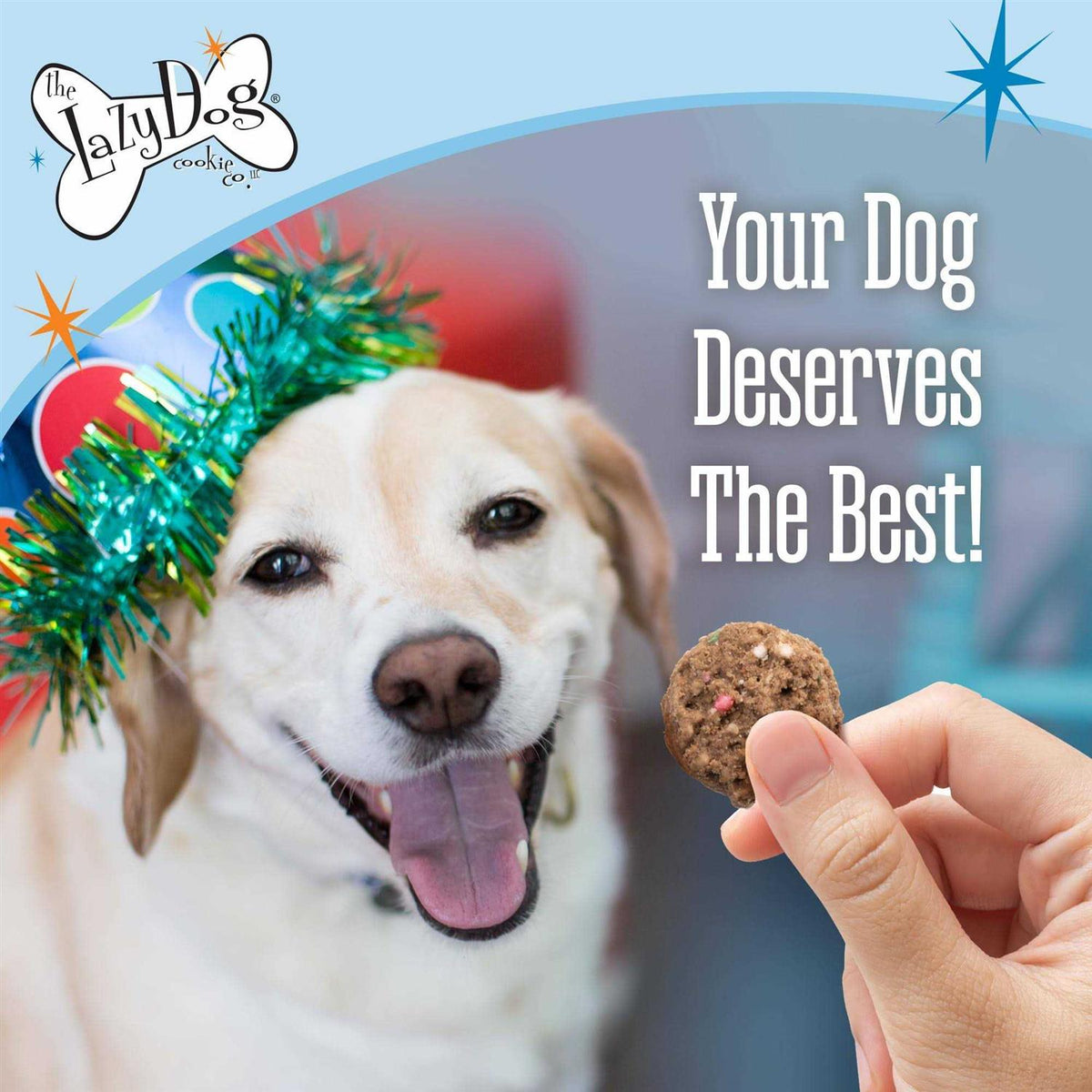 Birthday Cake Bites Dog Treats D38781