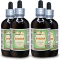 Cassia auriculata Alcohol-Free Liquid Extract V268896
