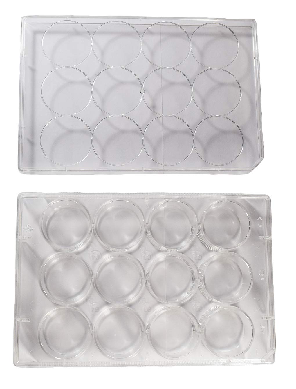 12 Well Sterile Flat Tissue Culture Plate Q855363