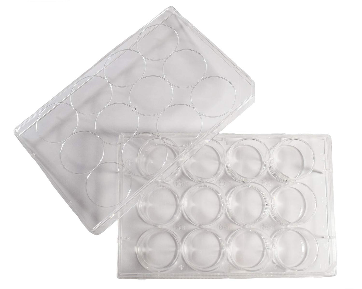 12 Well Sterile Flat Tissue Culture Plate Q855363