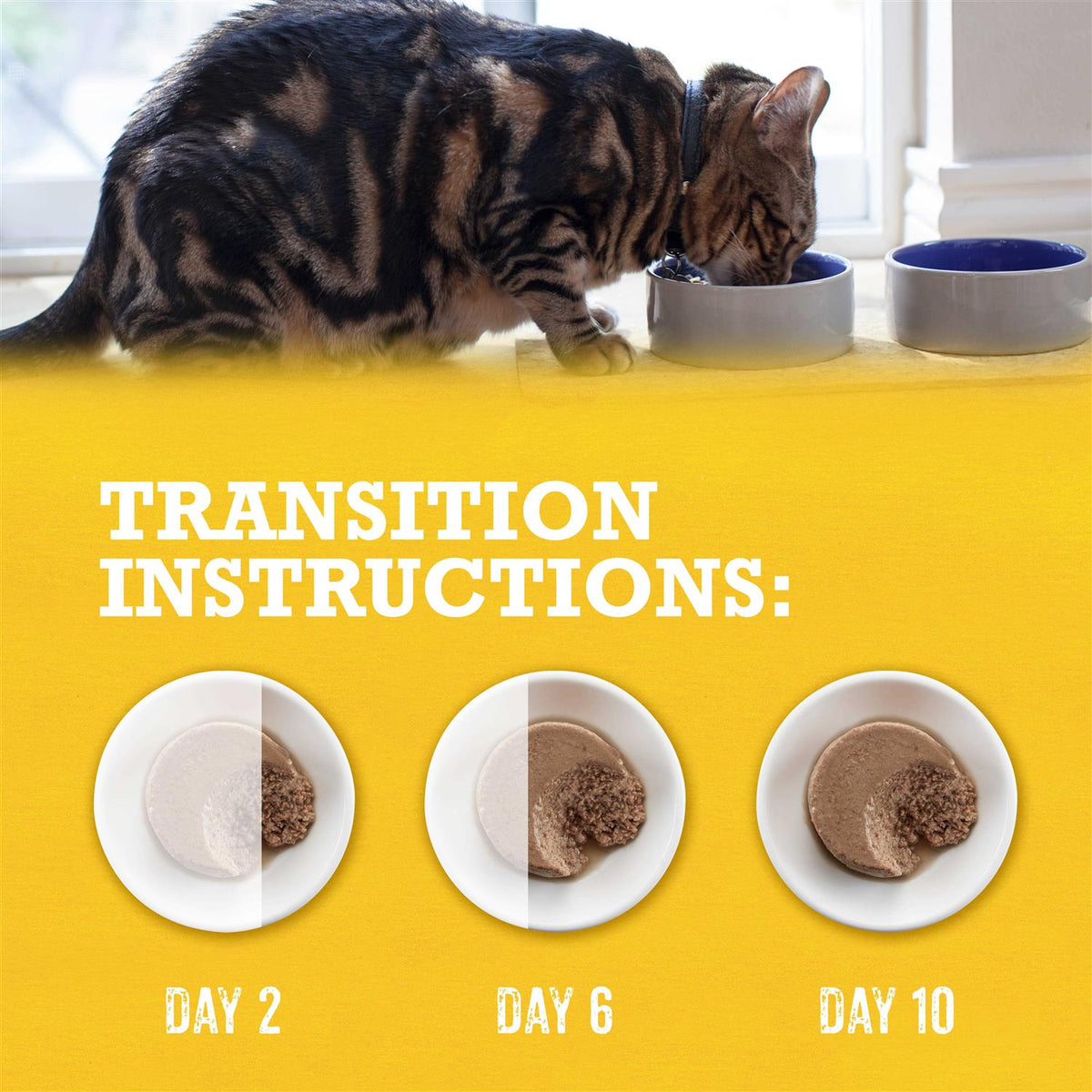 Grain-Free Wet Cat Food R100