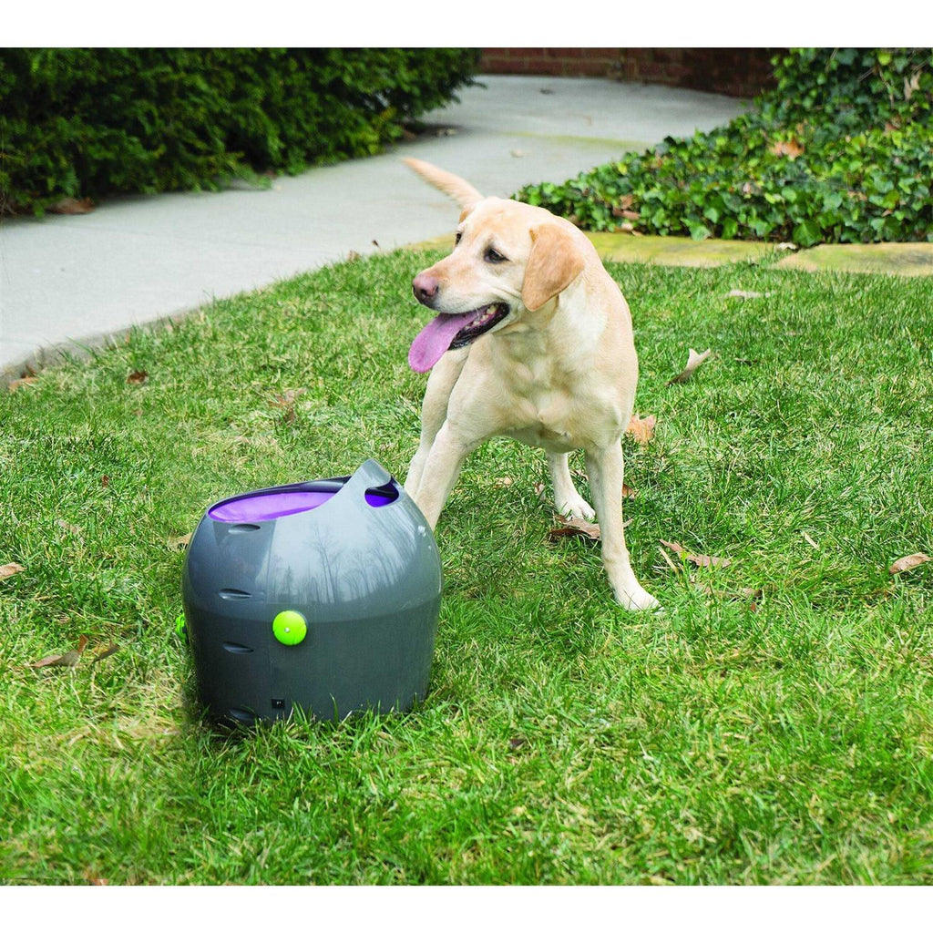 Automatic Ball Launcher Dog Toy E530