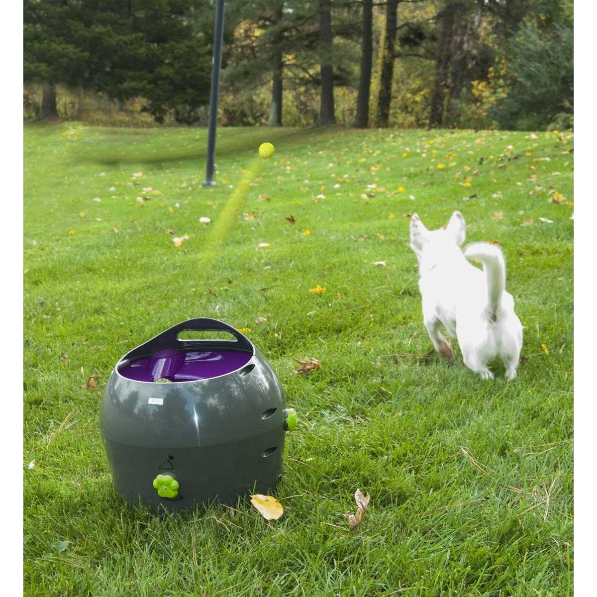 Automatic Ball Launcher Dog Toy E530