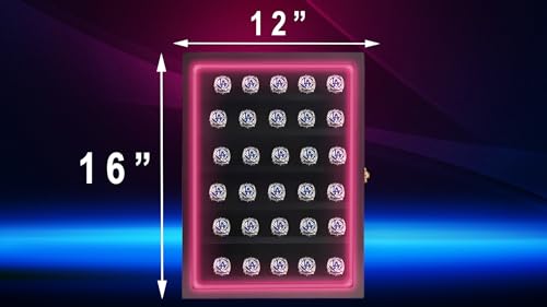 Black 30 Ring Glass Shadow Box with Lock Z40636
