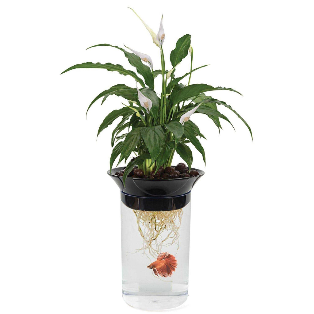 Nature's Aqua-Ponic Planter & Fish Habitat V173778