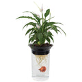 Nature's Aqua-Ponic Planter & Fish Habitat V173778