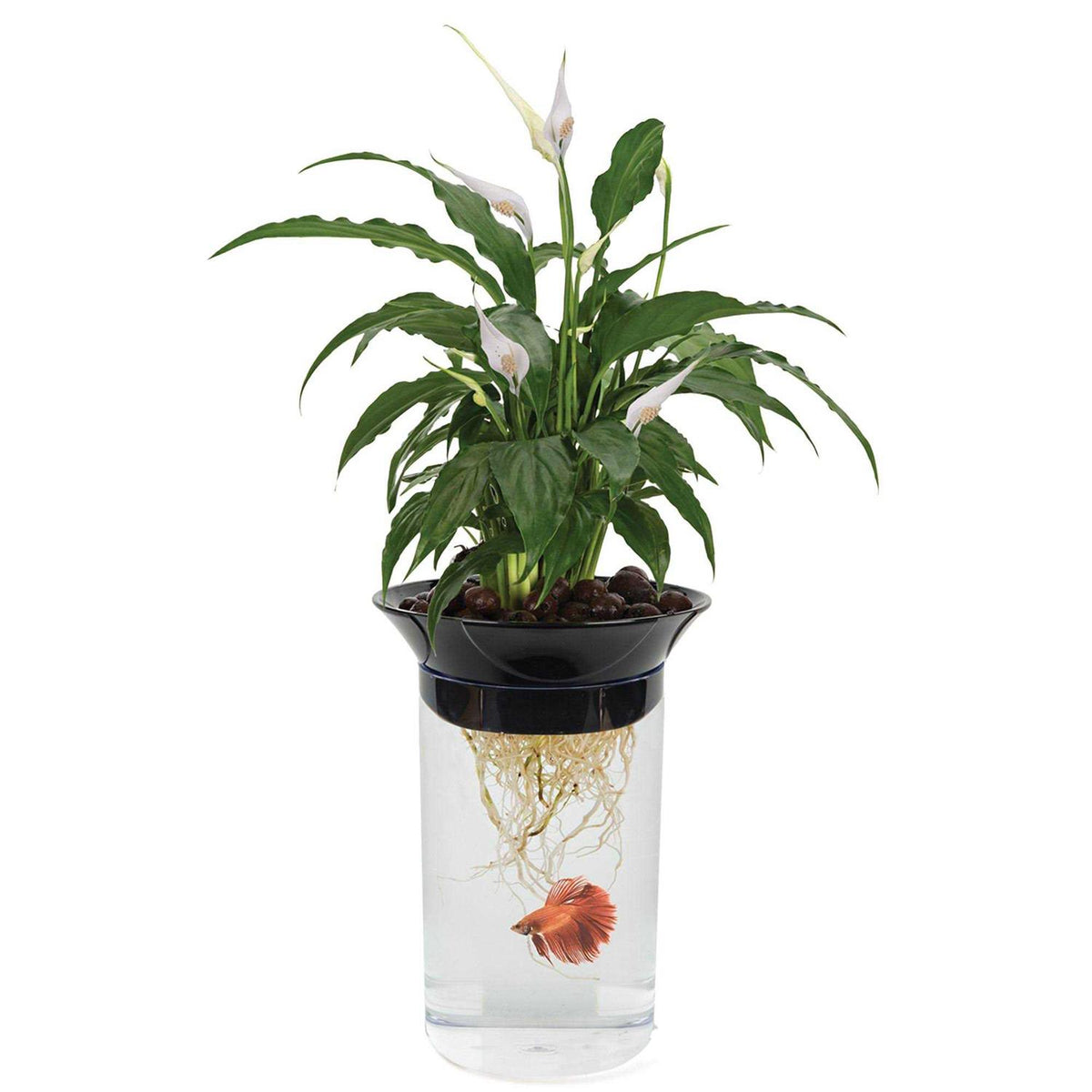 Nature's Aqua-Ponic Planter & Fish Habitat V173778