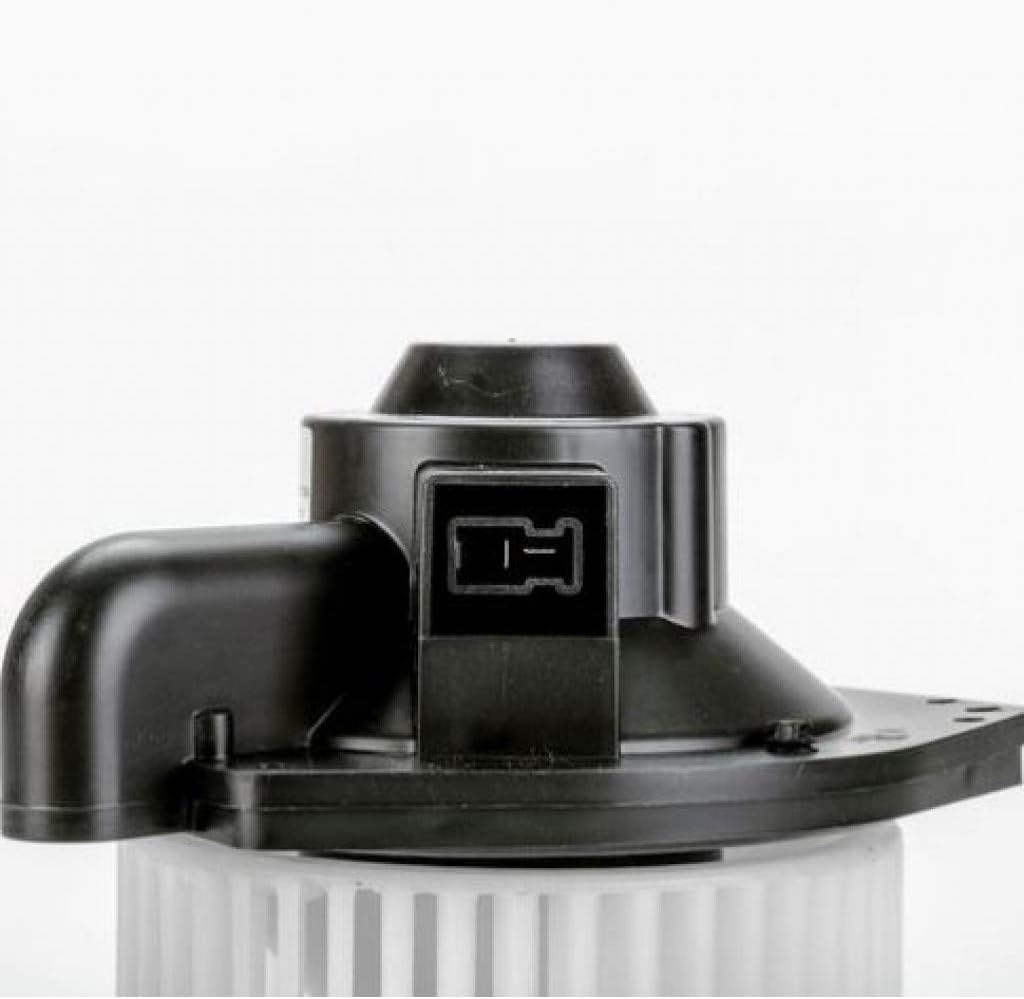 Blower Motor Assembly M611