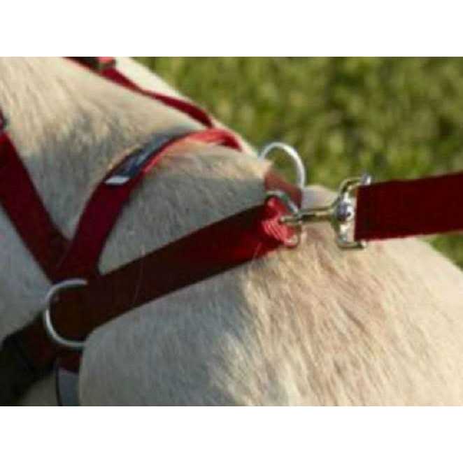 Harness Y931