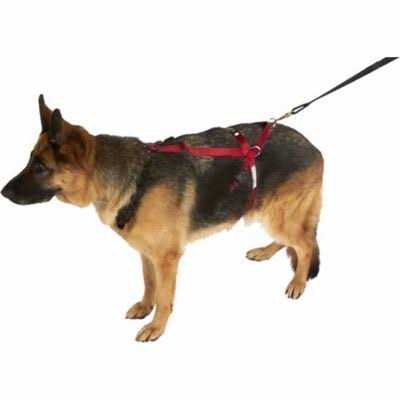 Harness Y931