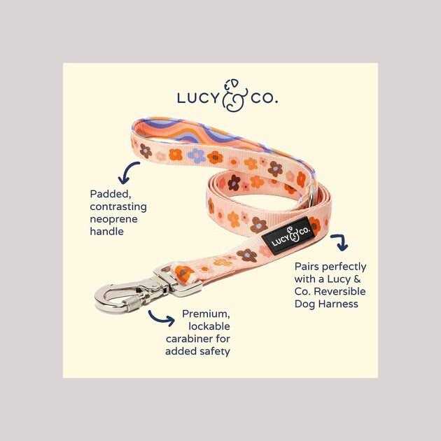 Leash R462