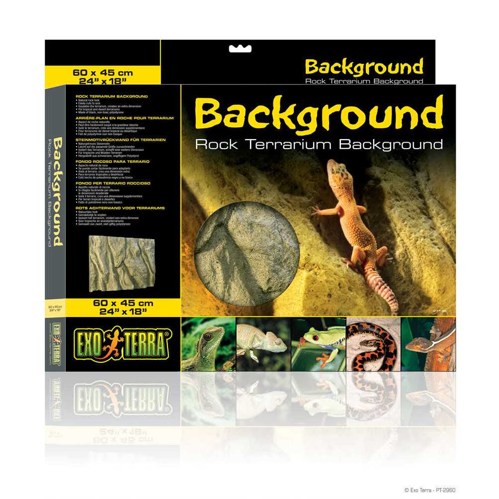 Rock Terrarium Background Q5892