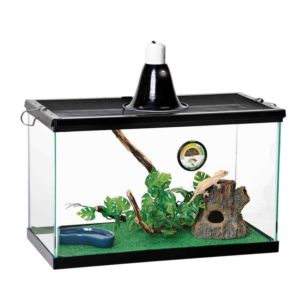 Green Terrarium Liner Z83393