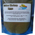 Brine Shrimp Eggs 90% Hatch R20368