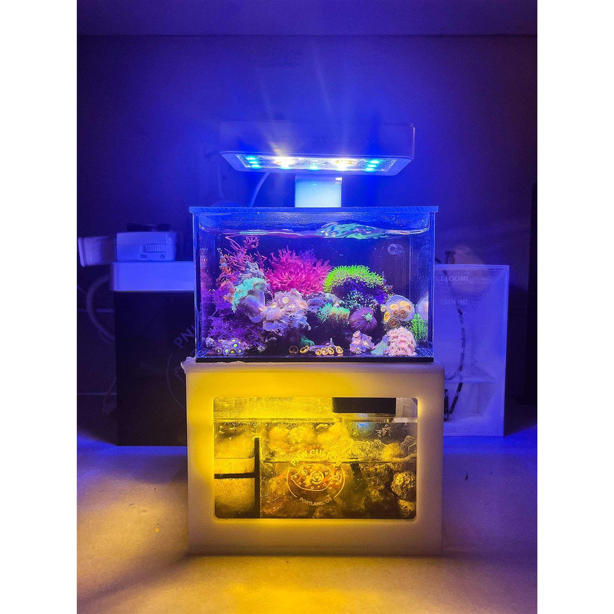 40oz Desktop Aquarium X71609
