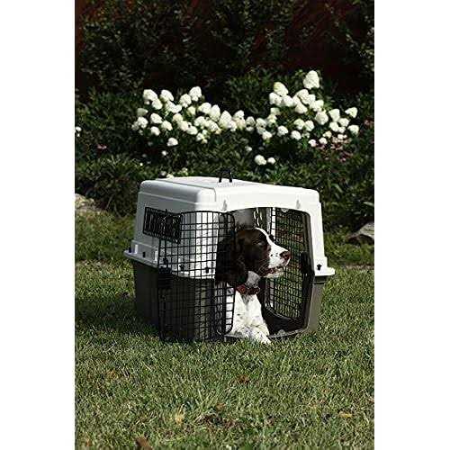 Plastic Pet Crate U22497