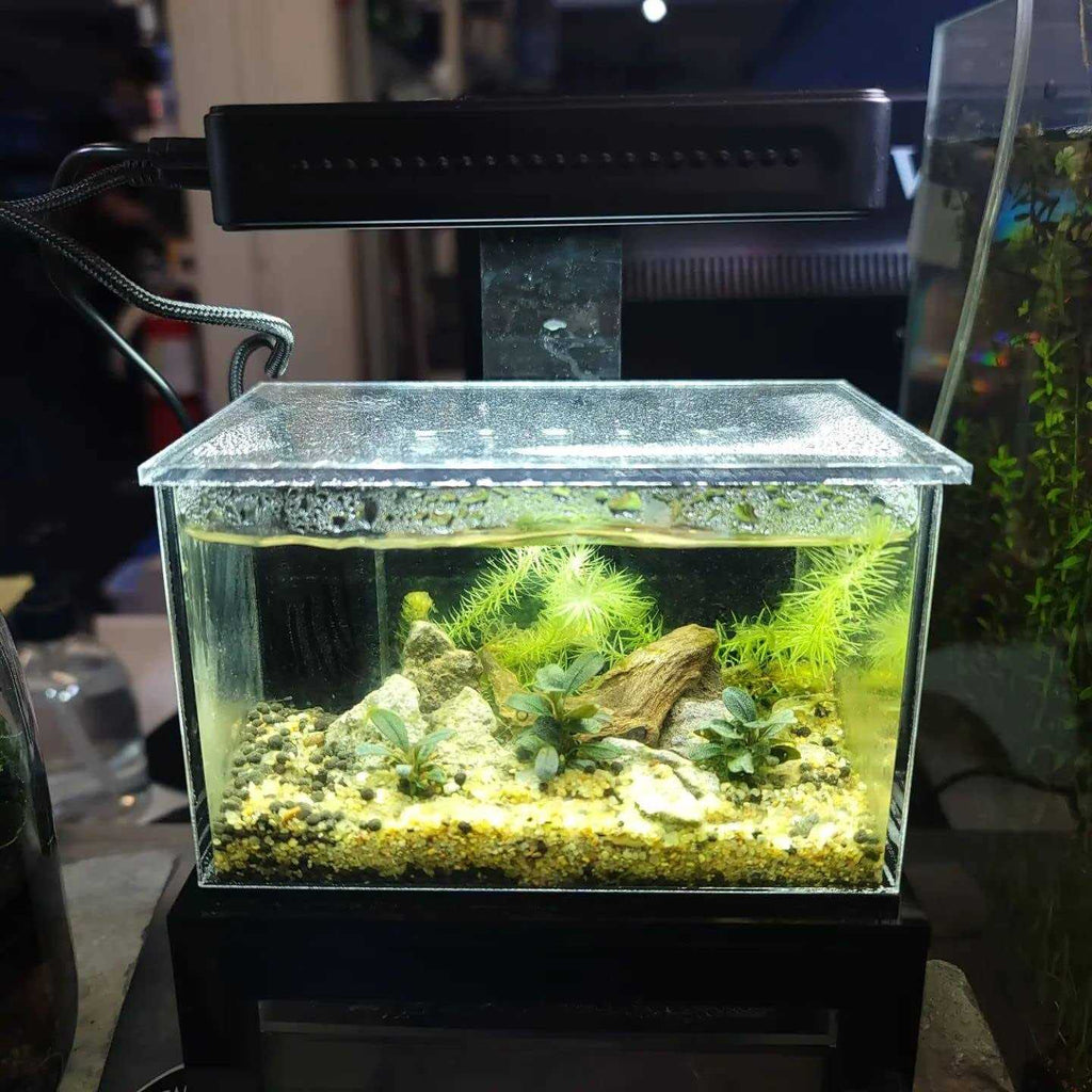 40oz Desktop Aquarium X71609