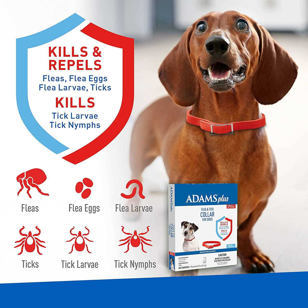 Flea & Tick Collar for Dogs U36565