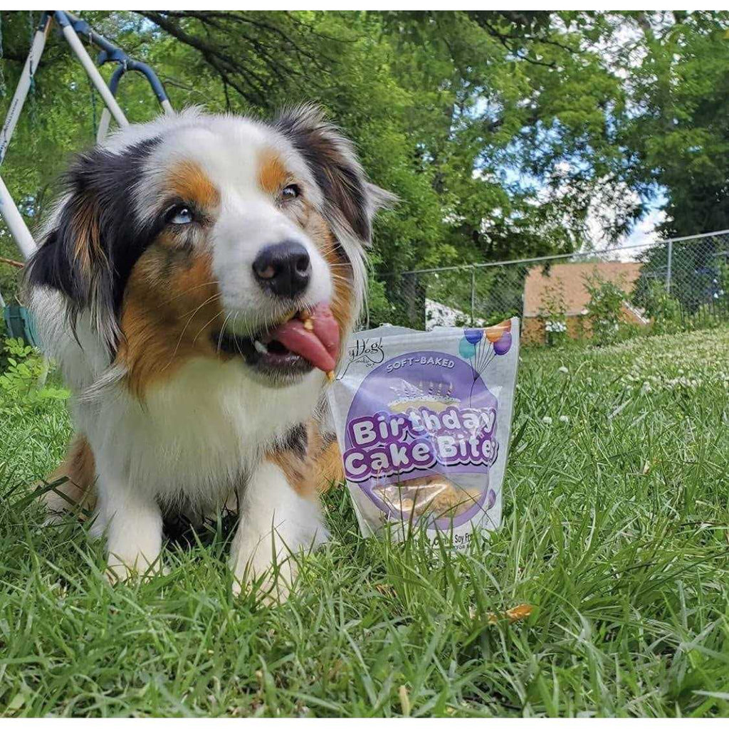 Birthday Cake Bites Dog Treats D38781
