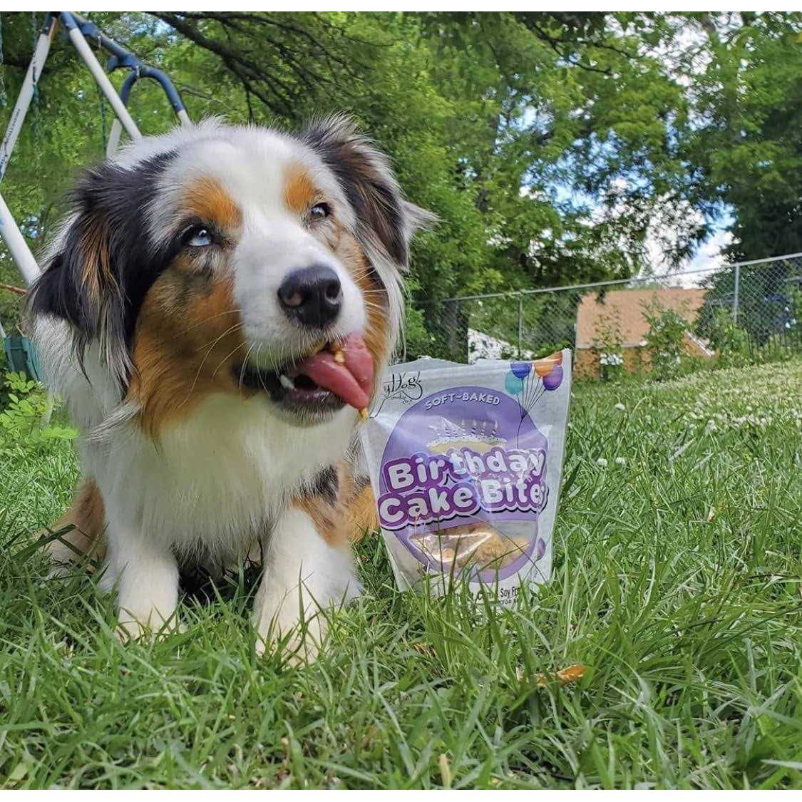 Birthday Cake Bites Dog Treats D38781