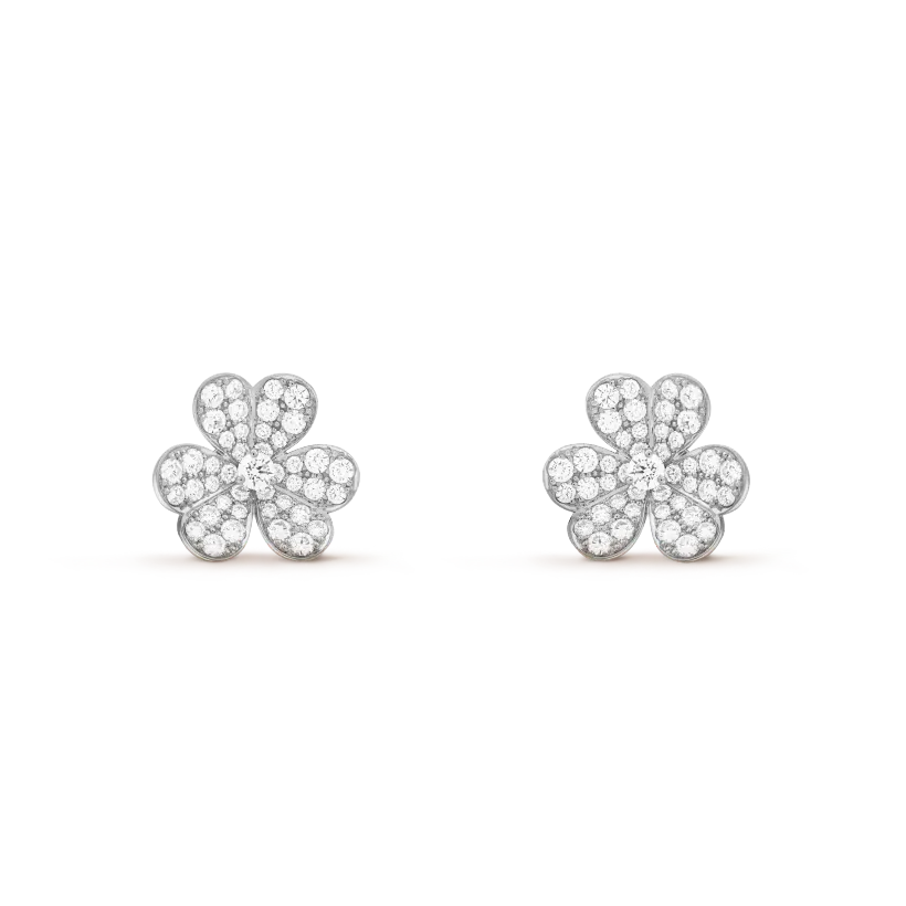 Earrings N49398
