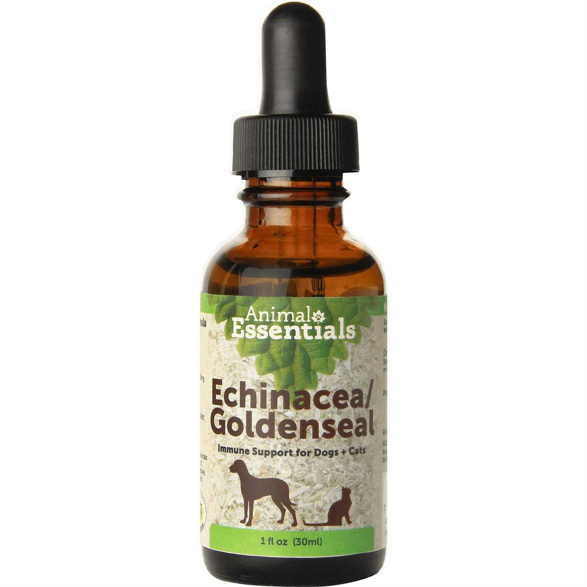 Echinacea Goldenseal G847