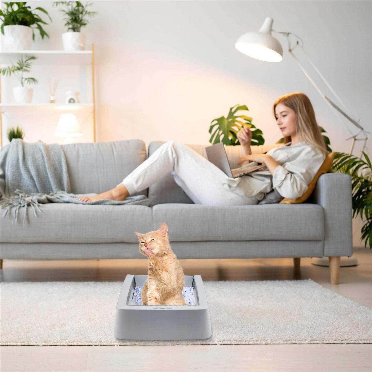 Stainless Steel Reusable Litter Tray T568