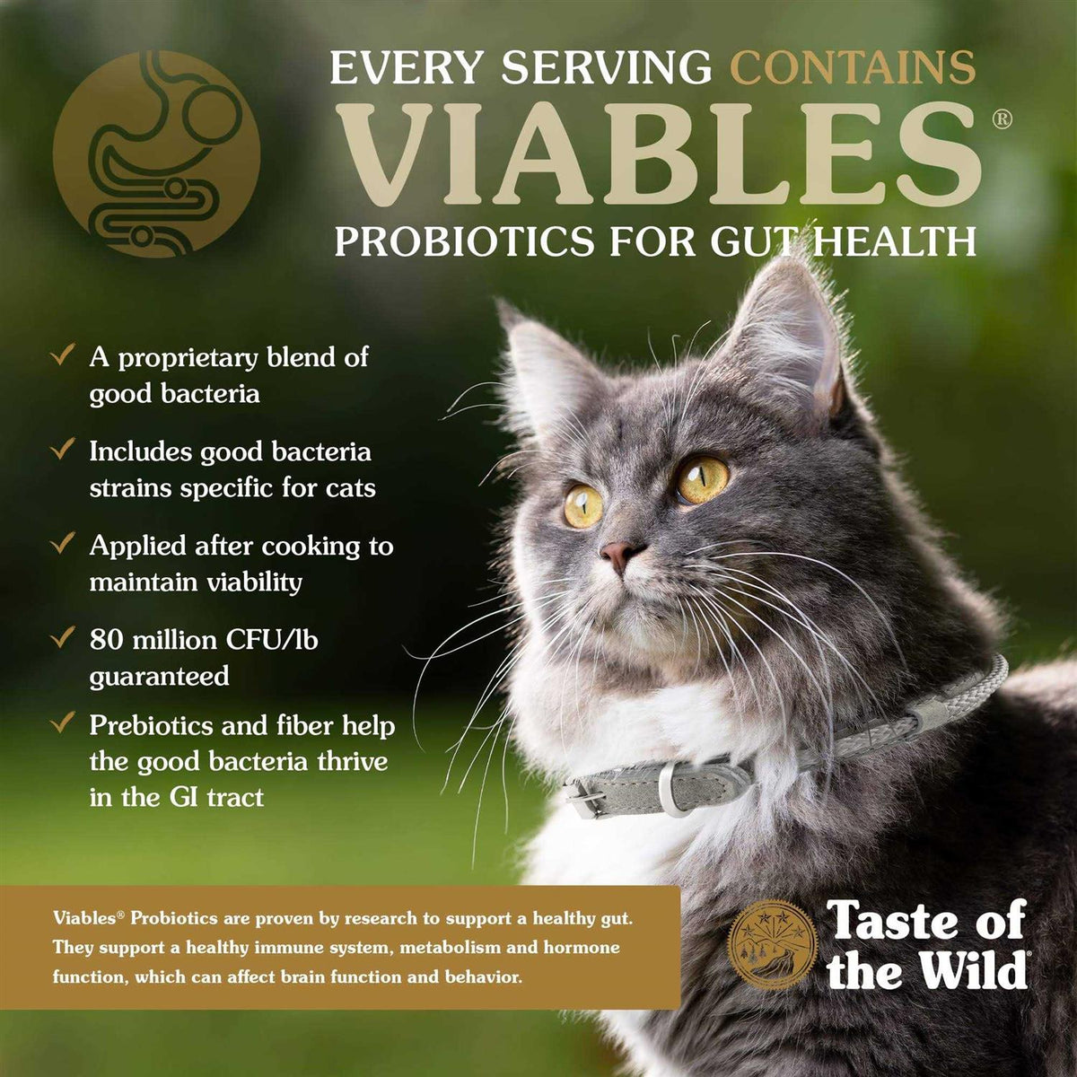 Lowland Creek Cat Food E705216