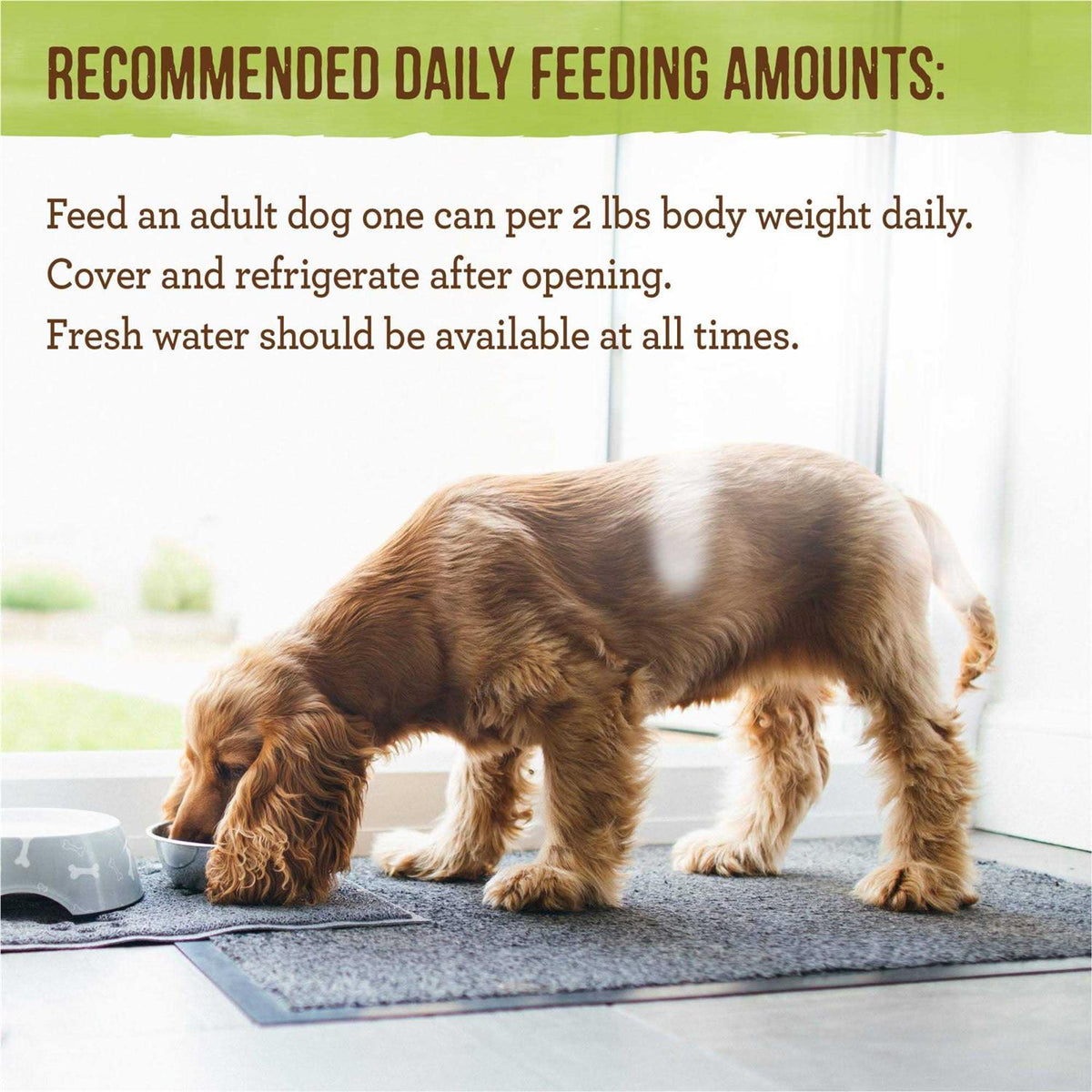 Grain Free Wet Dog Food B422989
