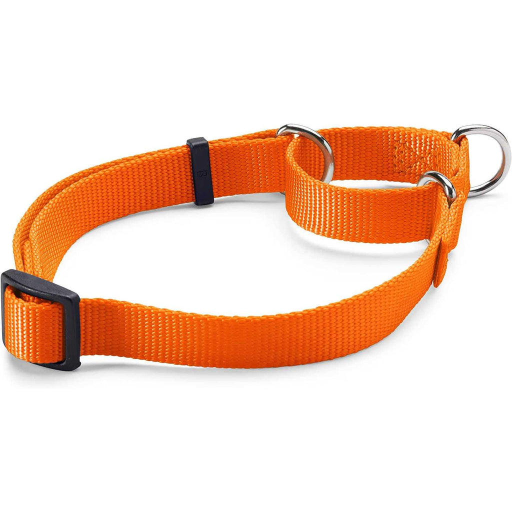 Dog’S Martingale Collar N387226