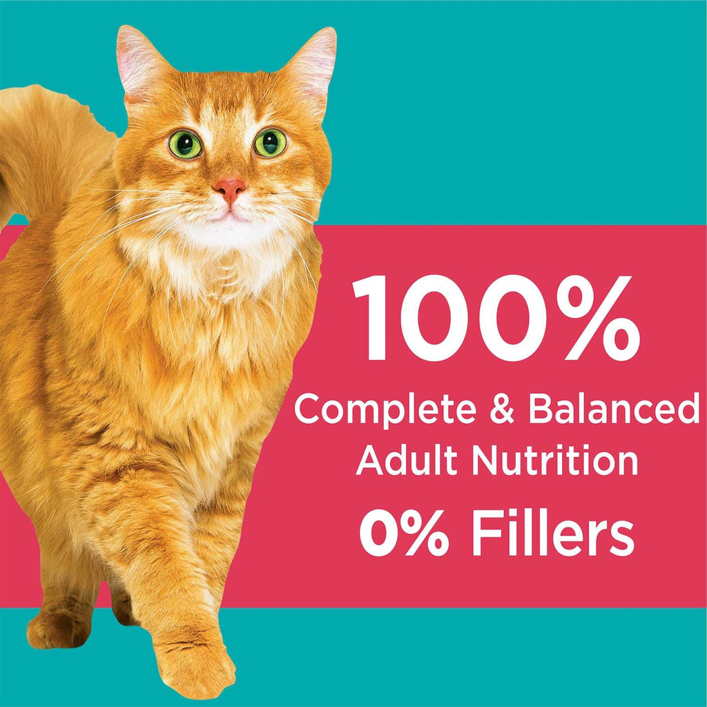 Salmon Adult Dry Cat Food W3240
