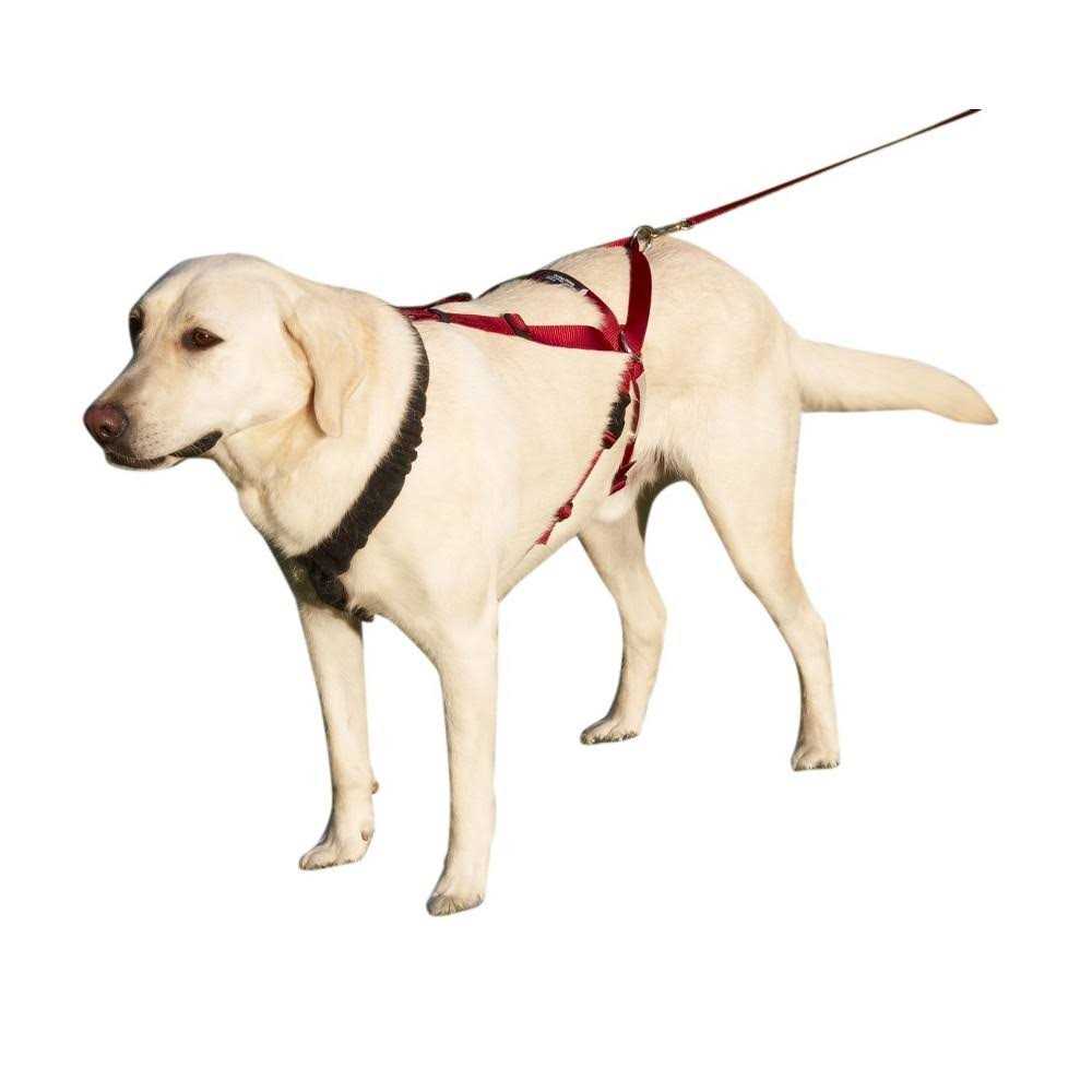 Harness Y931