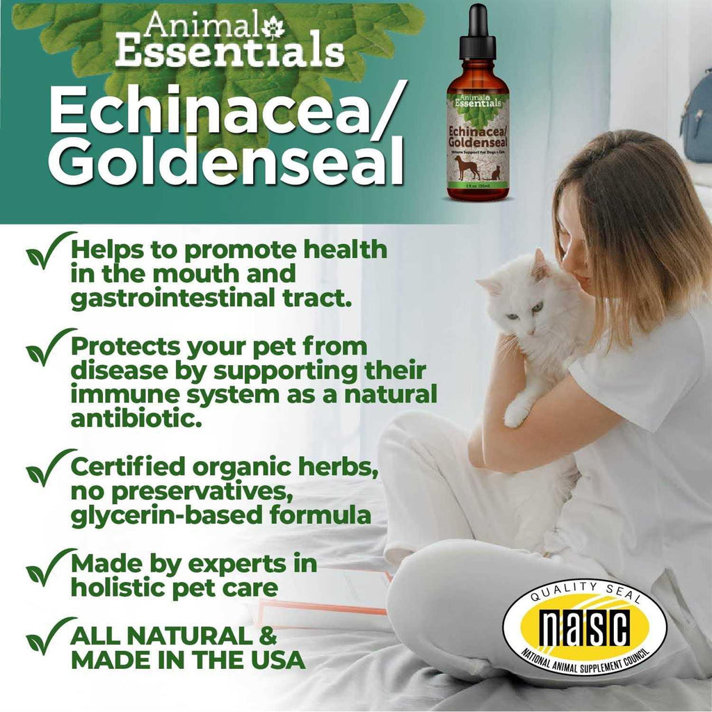 Echinacea Goldenseal G847