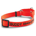 Dog’S Martingale Collar N387226