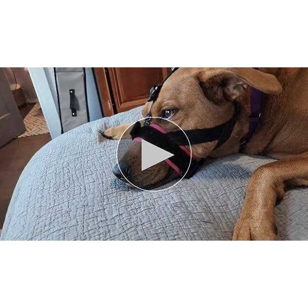 Gentle Muzzle Guard for Dogs Z660
