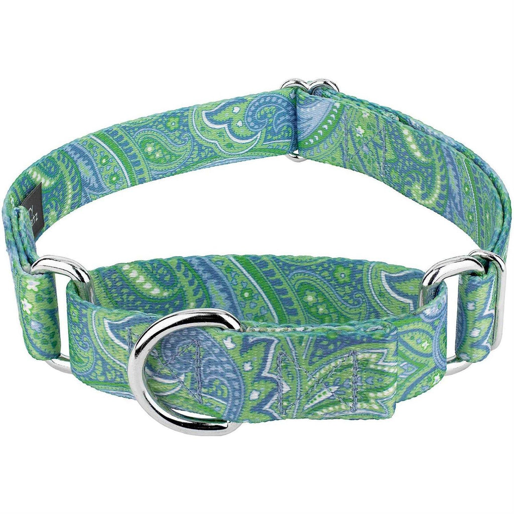 Martingale Dog Collar V897