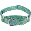 Martingale Dog Collar V897