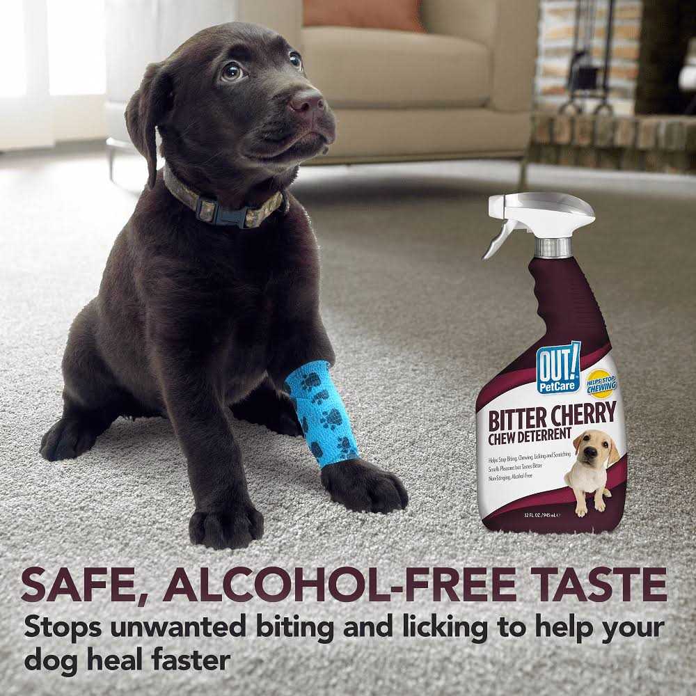 Bitter Cherry Dog Chew Deterrent C273