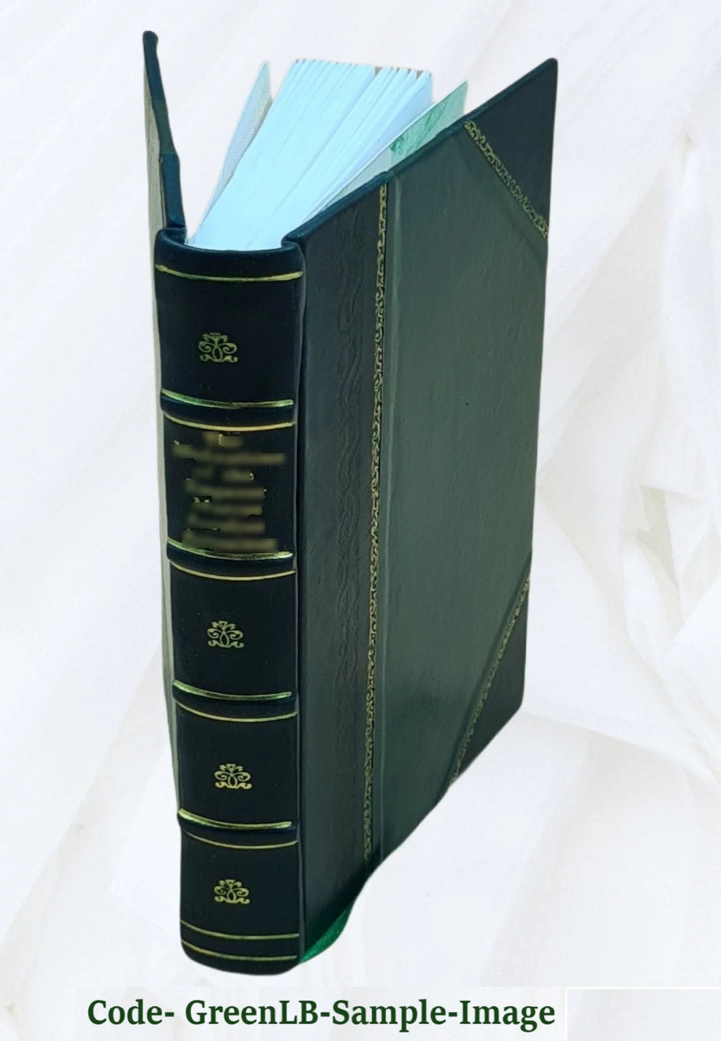 Railroad Companies Reports Leather Bound W730623