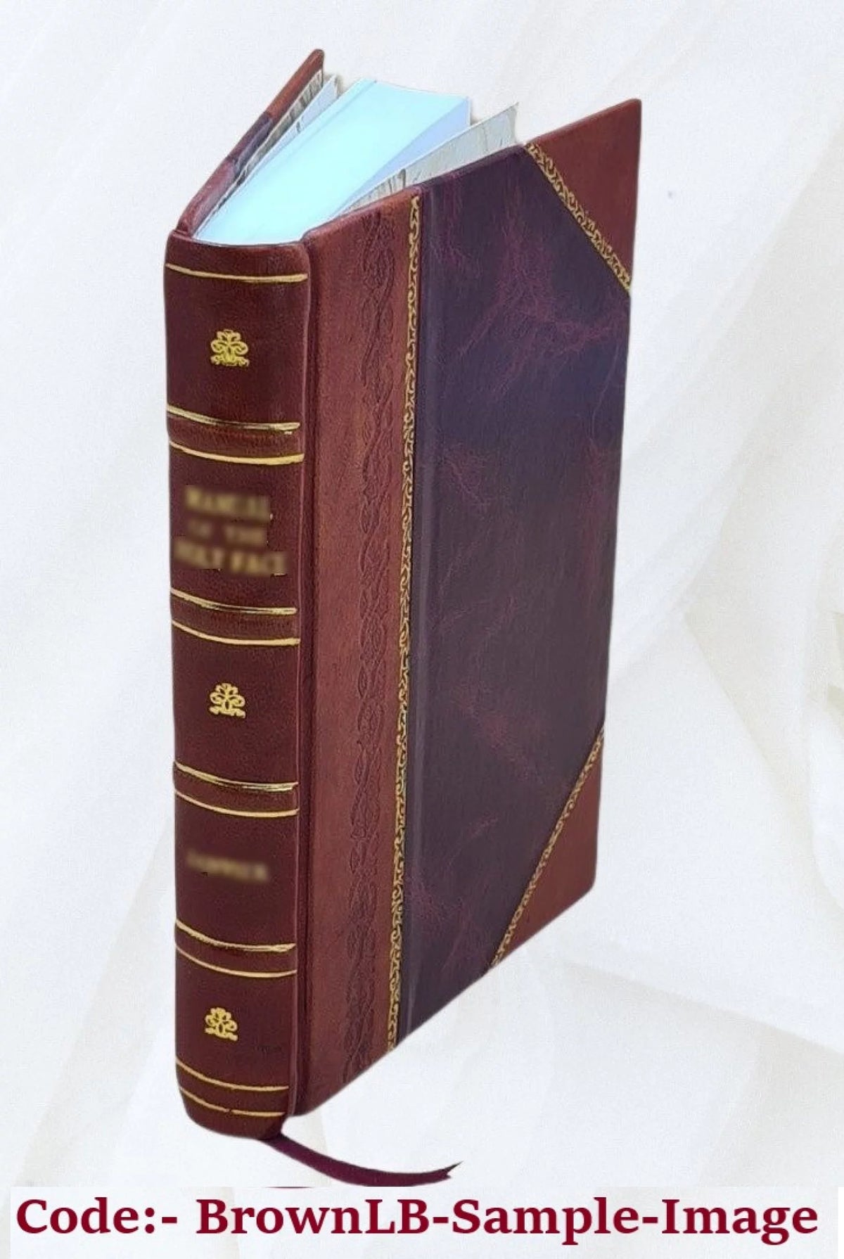 Railroad Companies Reports Leather Bound W730623