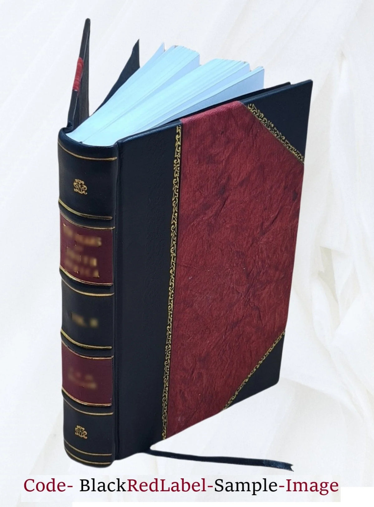 Railroad Companies Reports Leather Bound W730623