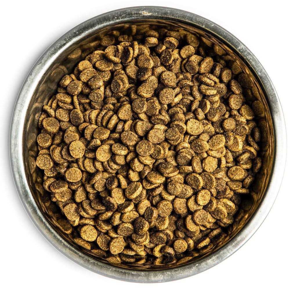 Dry Dog Food E98897