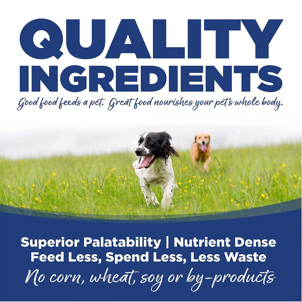 Trout Rice Dry Dog Food J5930