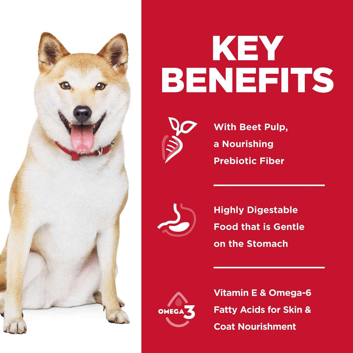 Sensitive Stomach & Skin Adult Dog Food N34985